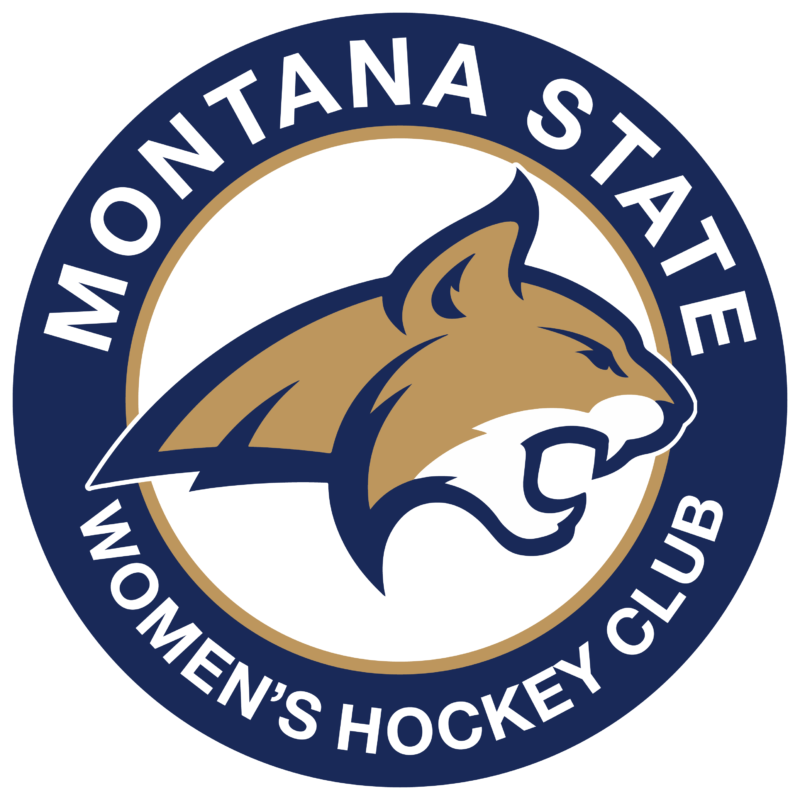 MSU Womens Hockey Club